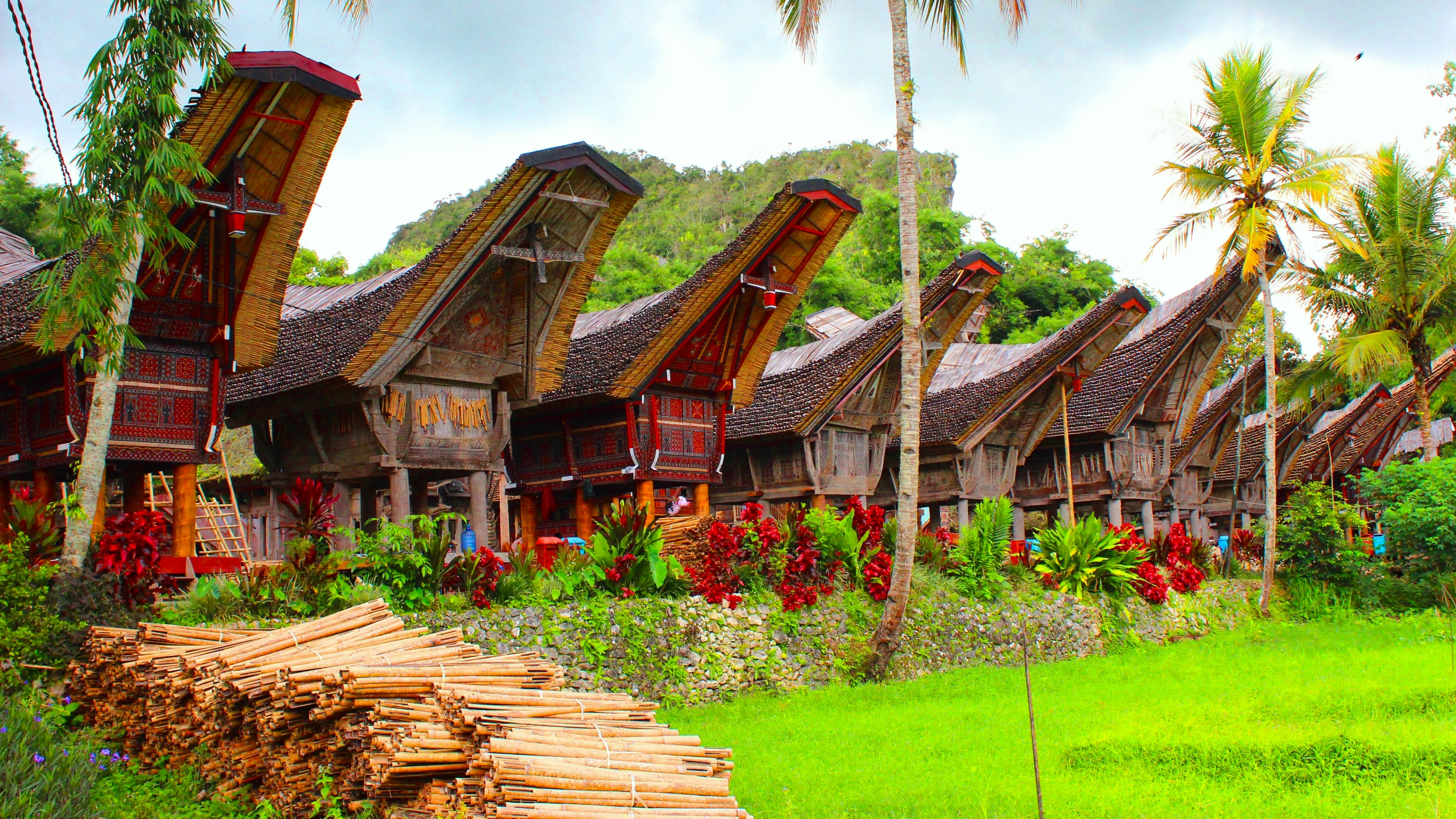 Sulawesi