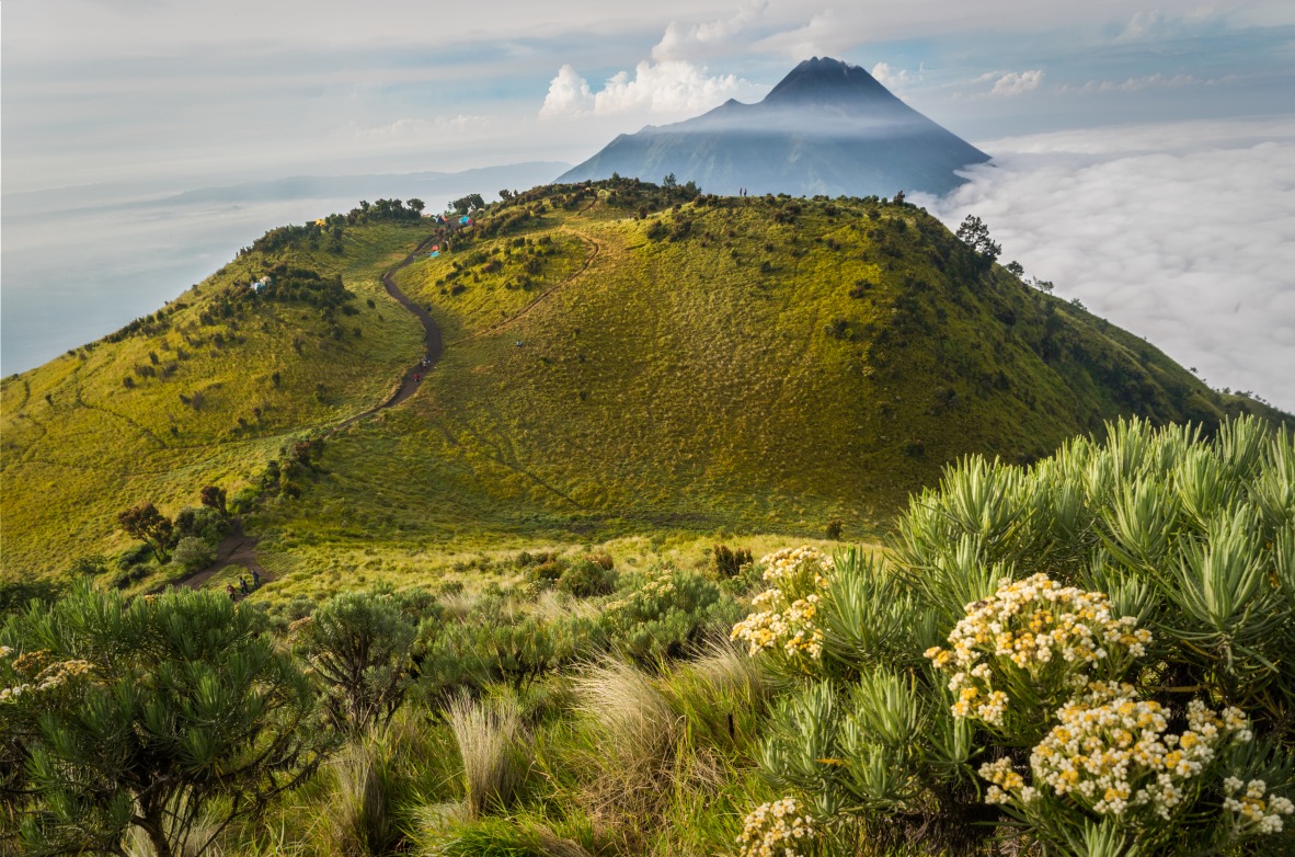 Le Merbabu