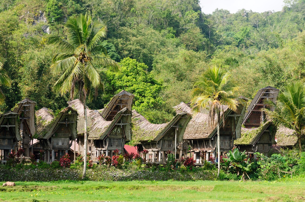 La petite ville de Palawa
