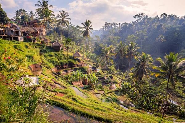 Landscapes around Ubud, photo © Christophe Faugere via Shutterstock