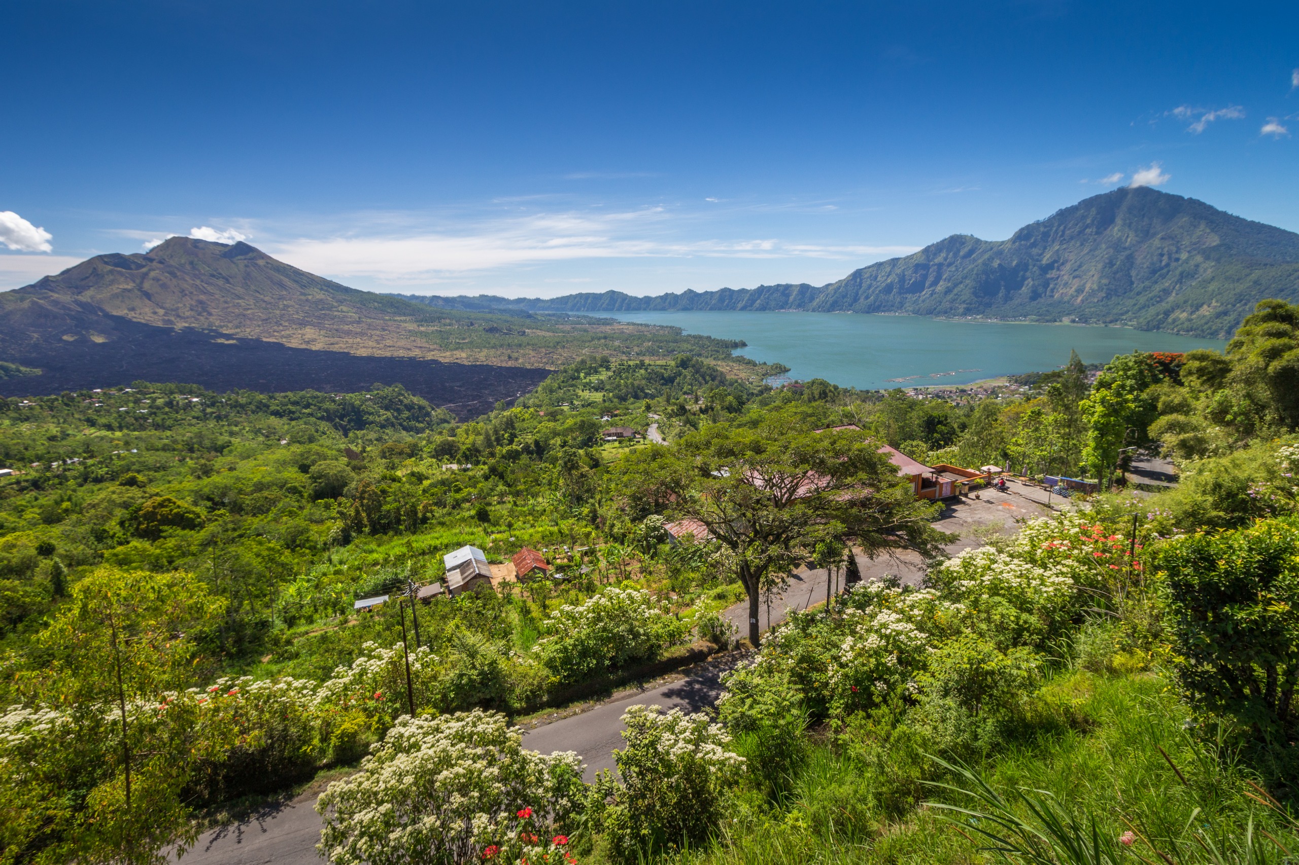 Kintamani