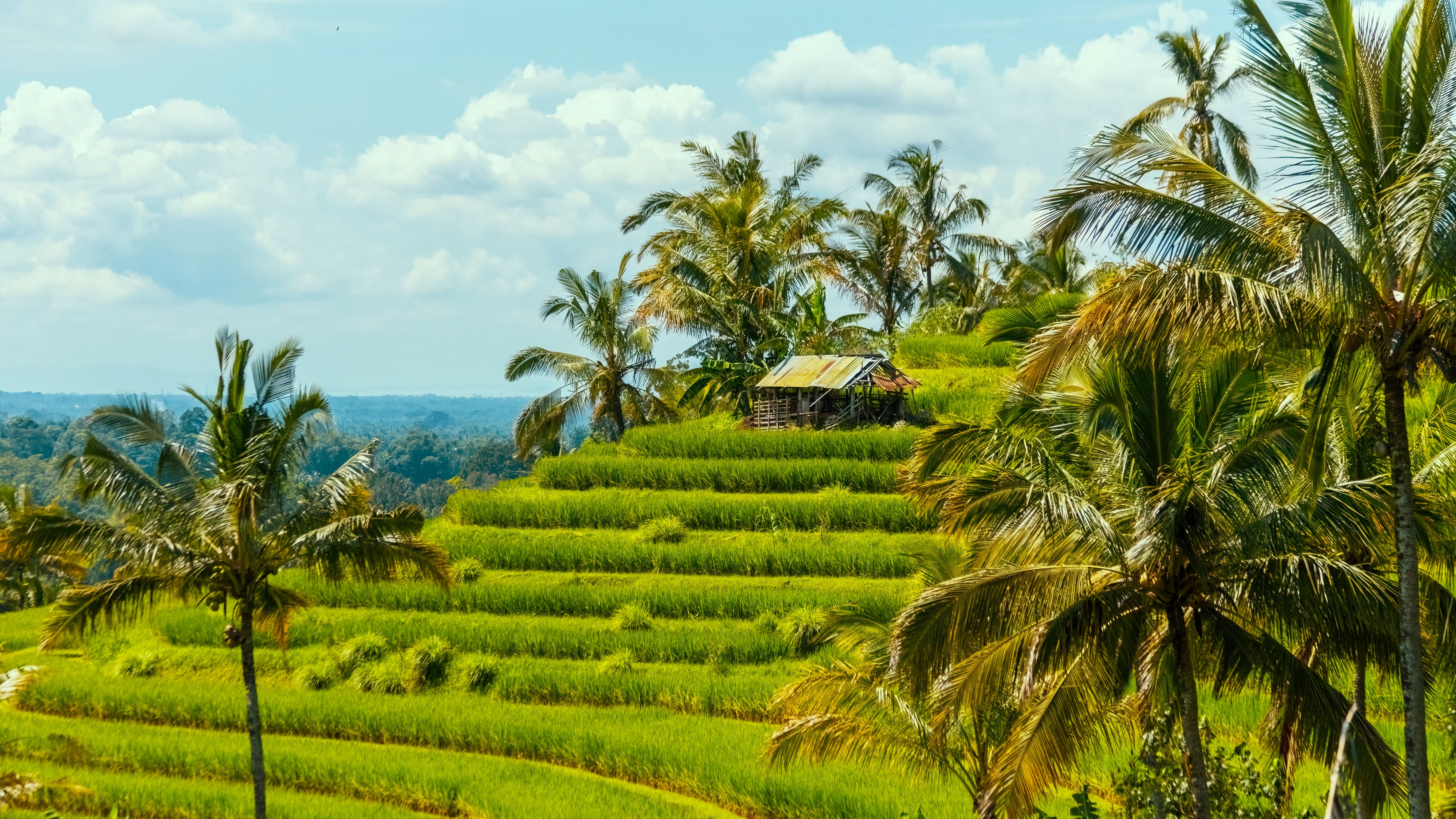 Ubud & Central Bali