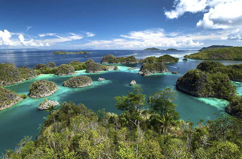 Where to Dive to See Manta Rays in Indonesia?