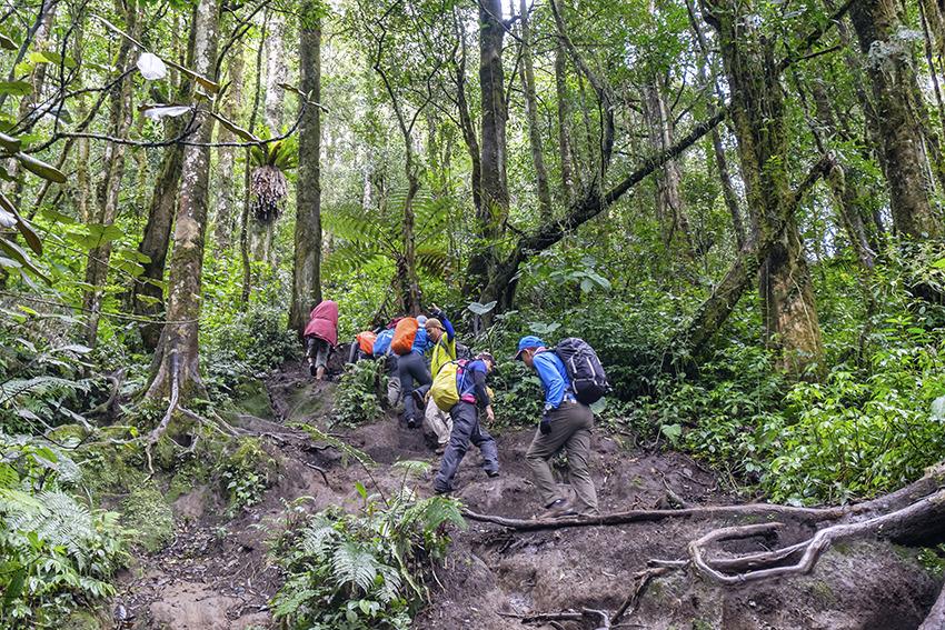 Welche Insel wählen für eine Trekkingtour in Indonesien?