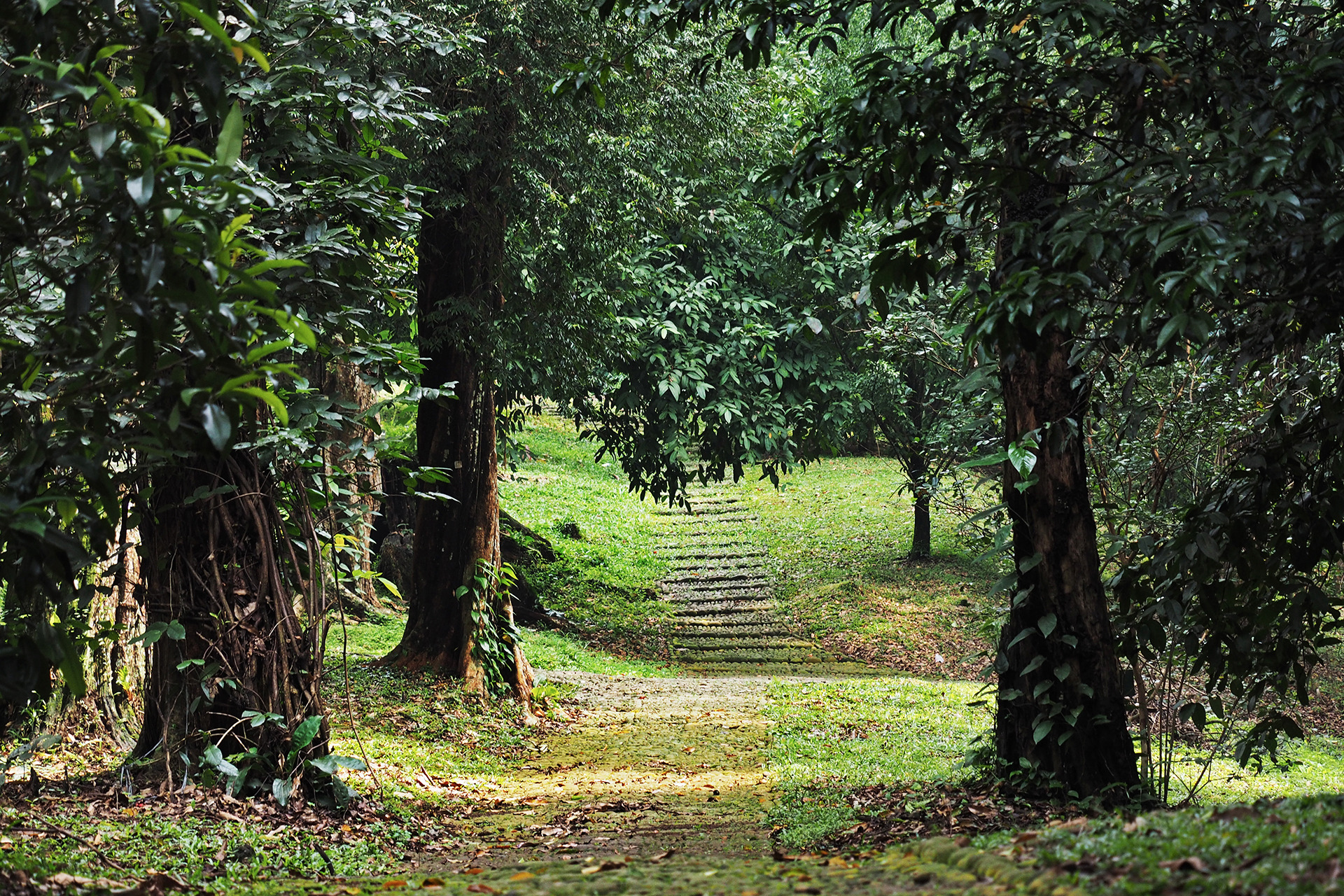 Jardin Botanique de Bali