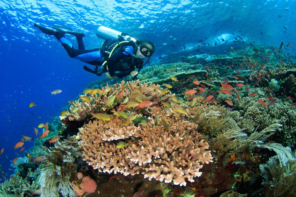Comment visiter les îles Komodo ?