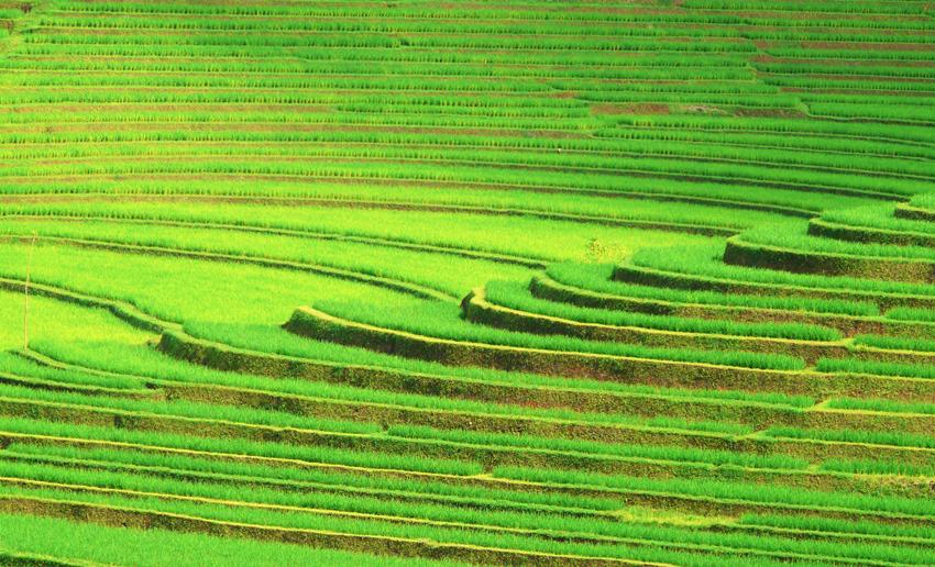 Voyage à Bali : pourquoi faire escale sur l'île des Dieux en Indonésie ?