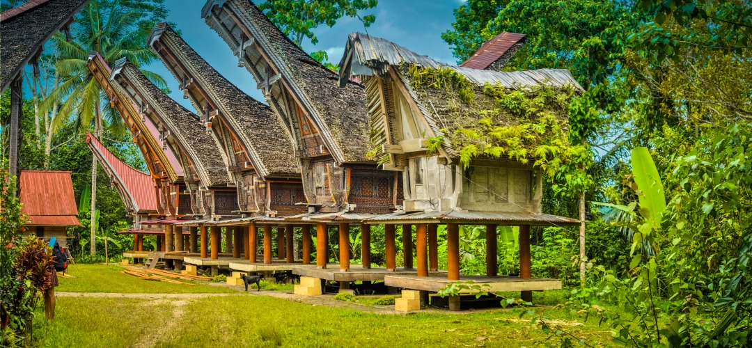 Pays Toraja
