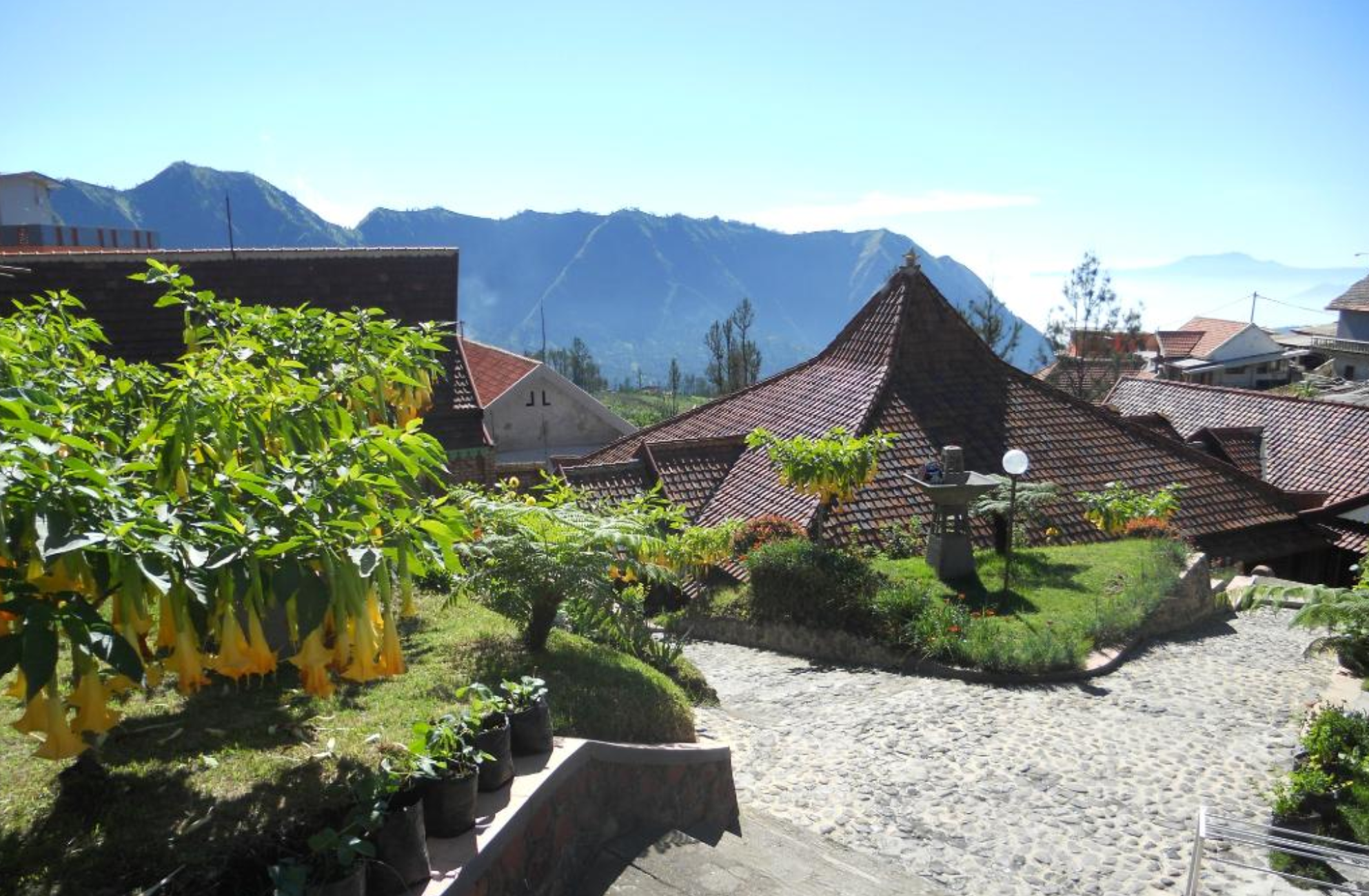 Cafe Lava