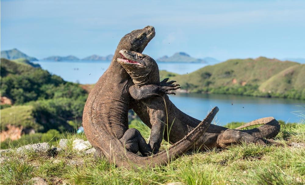 The 10 Best Treks in Indonesia