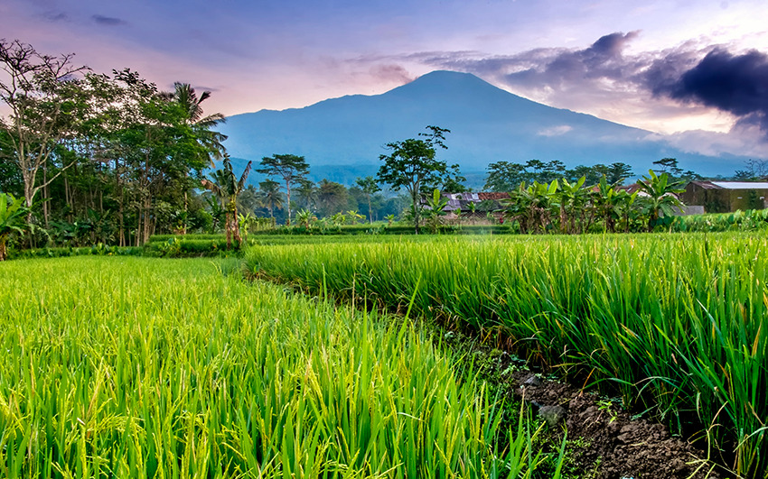 Baturraden
