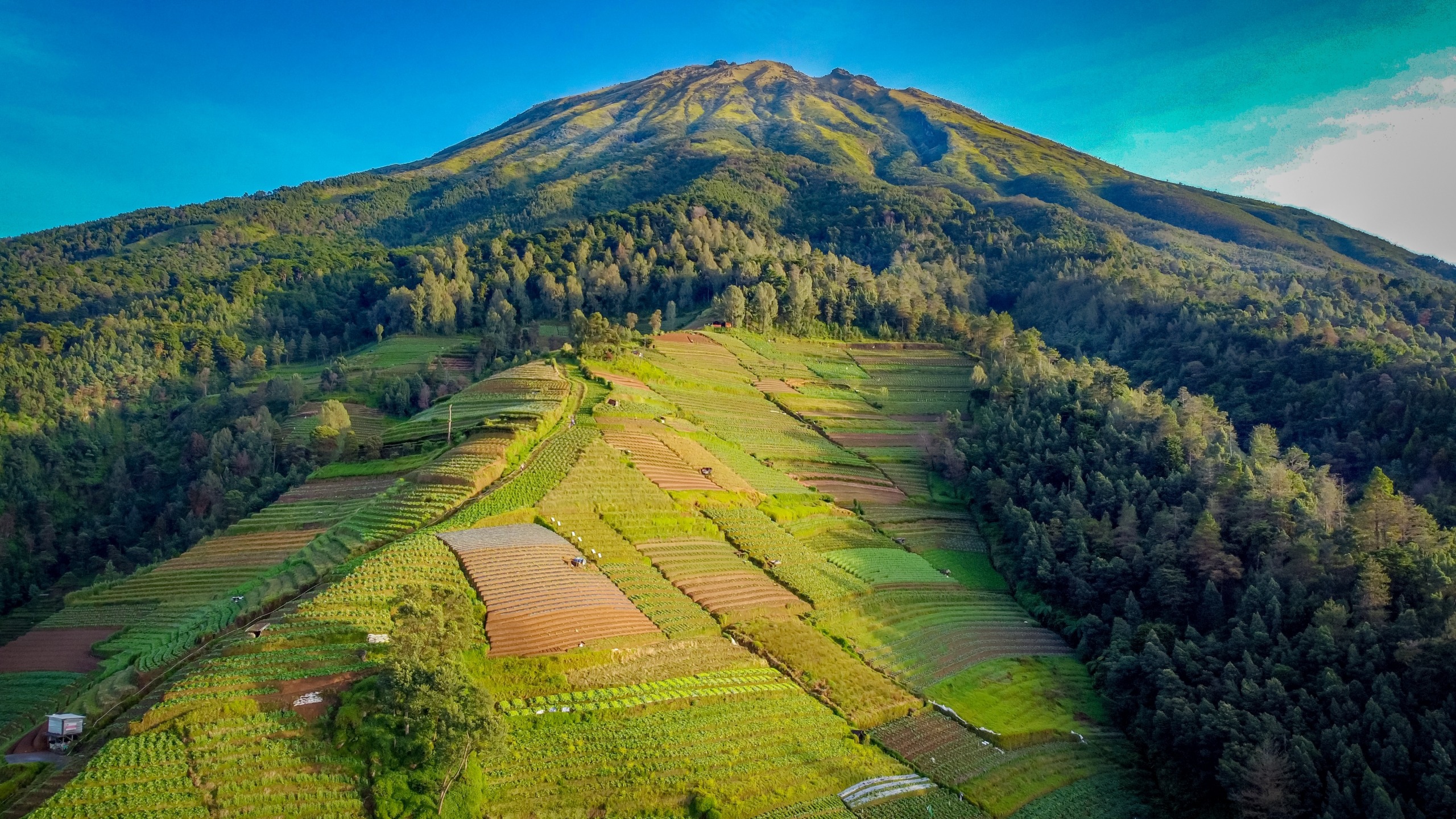 La Magelang