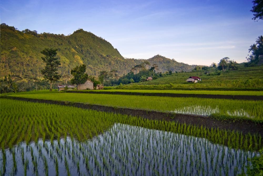 Où dormir à Bali ?