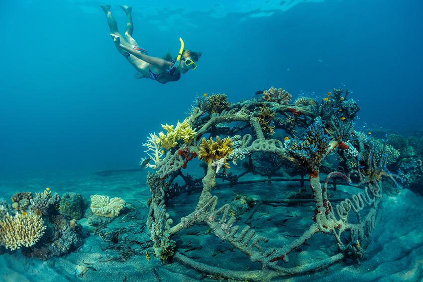 Ecotourism in Indonesia: Travelers Can Make a Difference!
