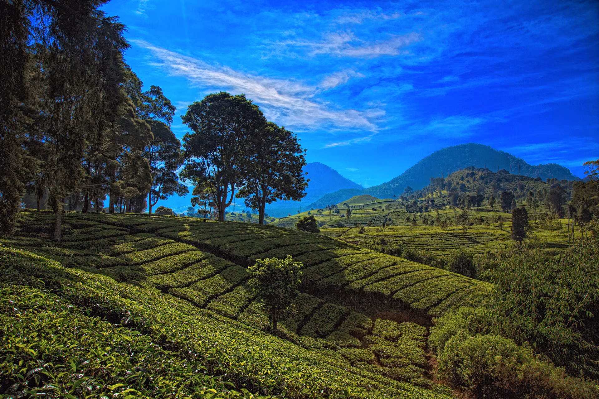 Adventures on 2-wheels across Java - 30 days