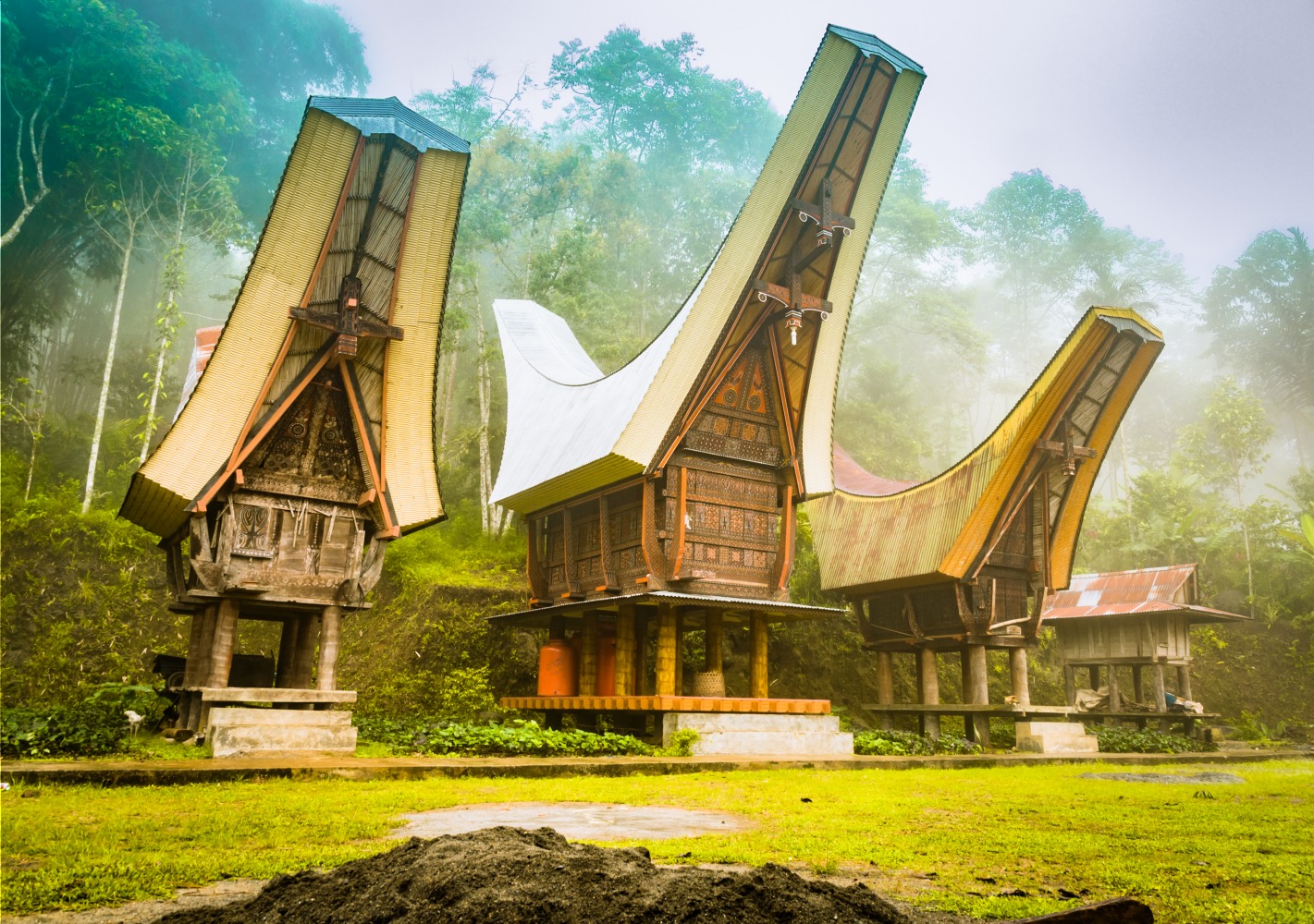 Trek et immersion chez les Toraja