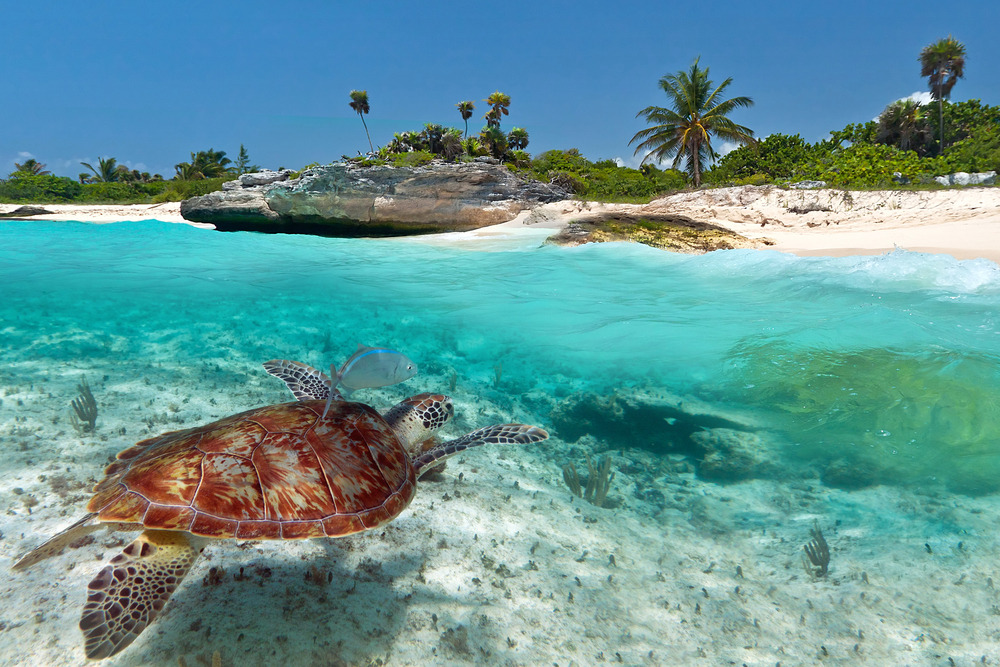 Coral Beach ou Playa Coral