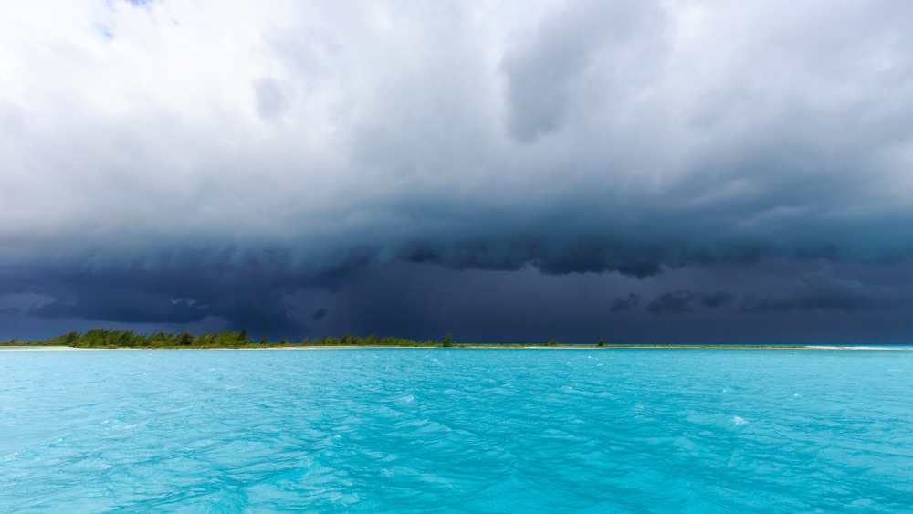 Pluie et moustiques