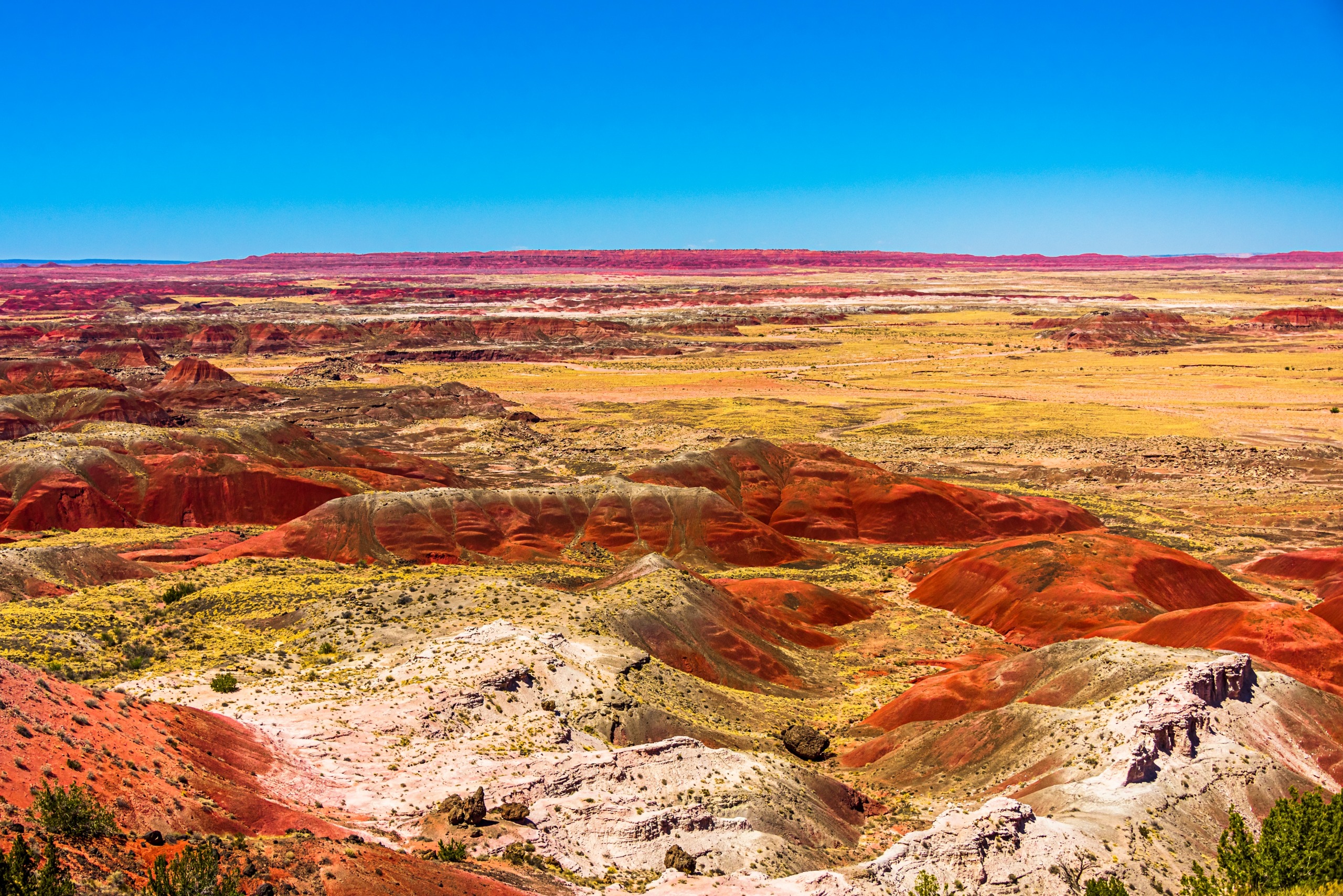 Le Painted Desert