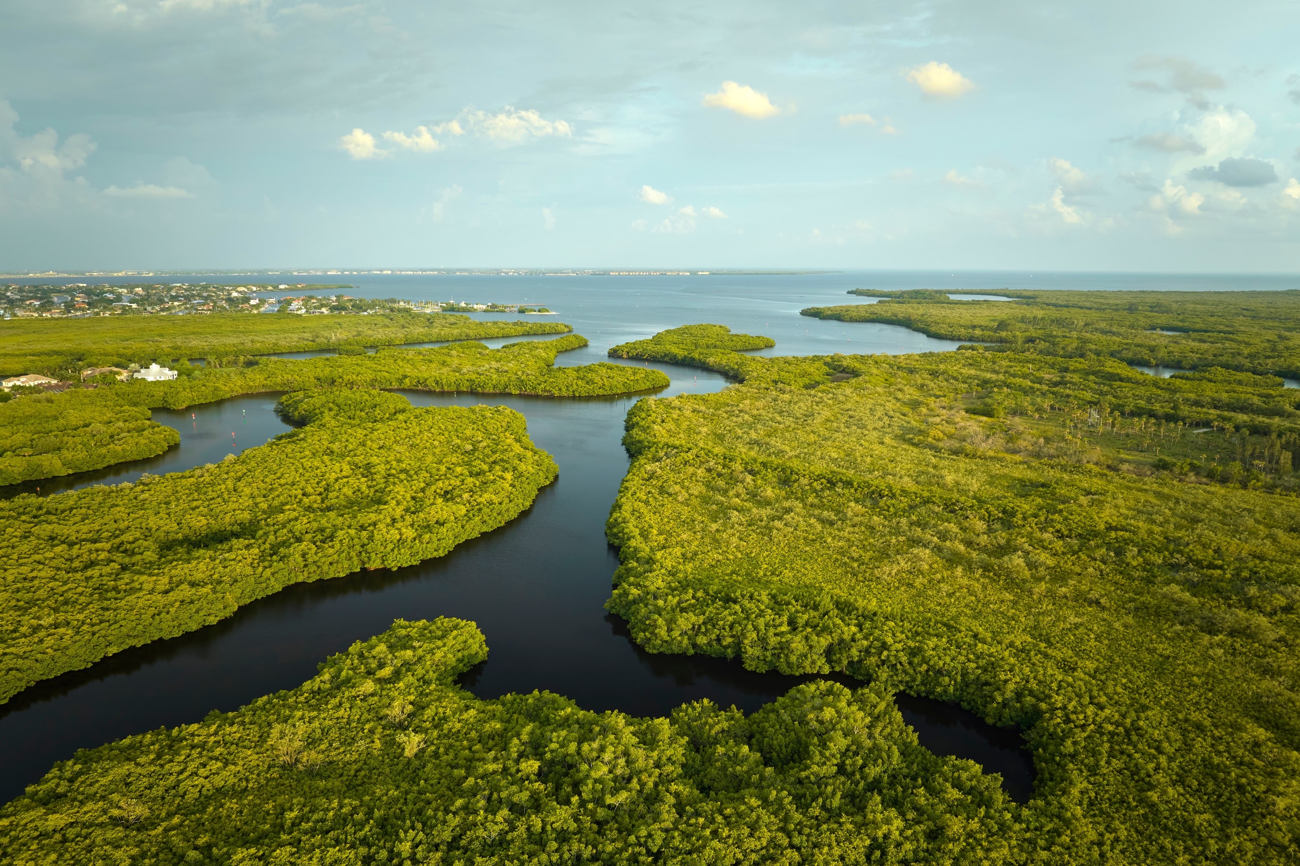 Que voir et que faire dans les Everglades
