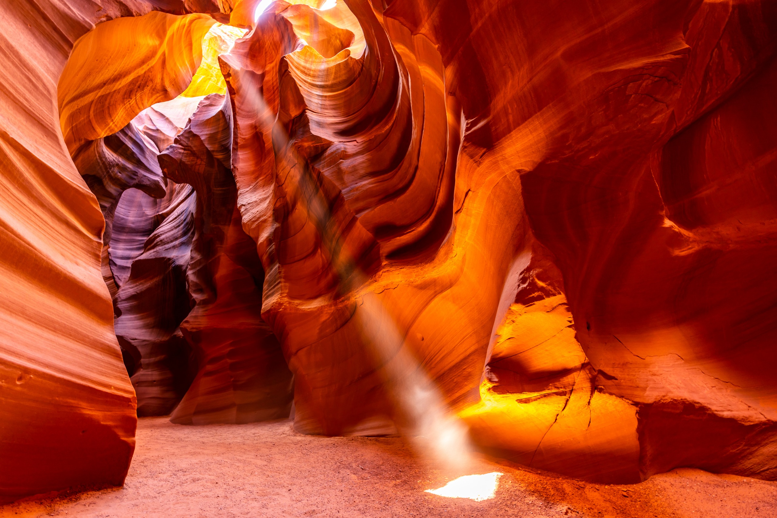 Canyon Antelope