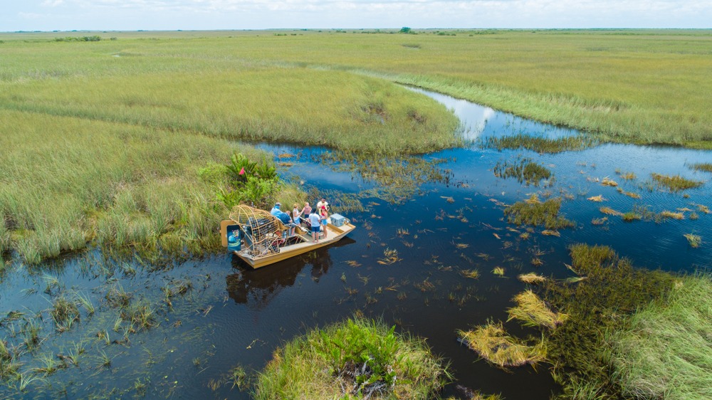 Parc national des Everglades