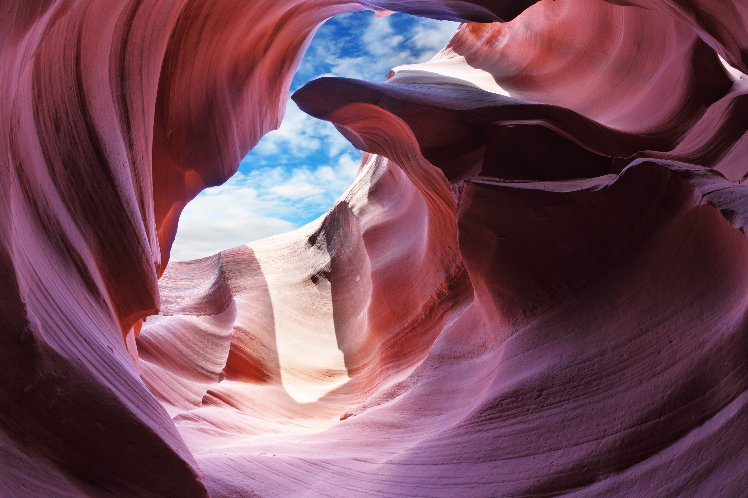 Arizona