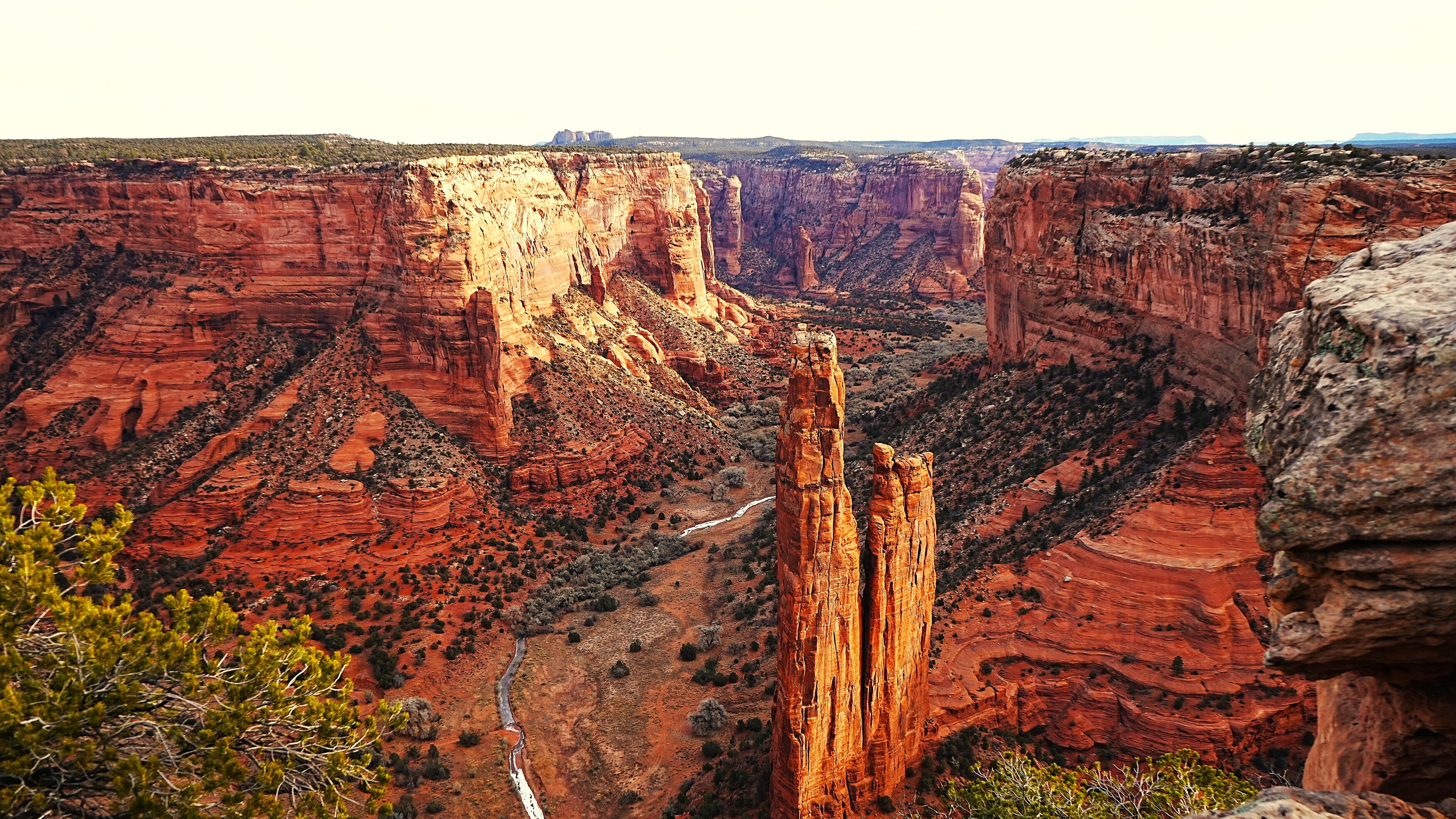 Arizona