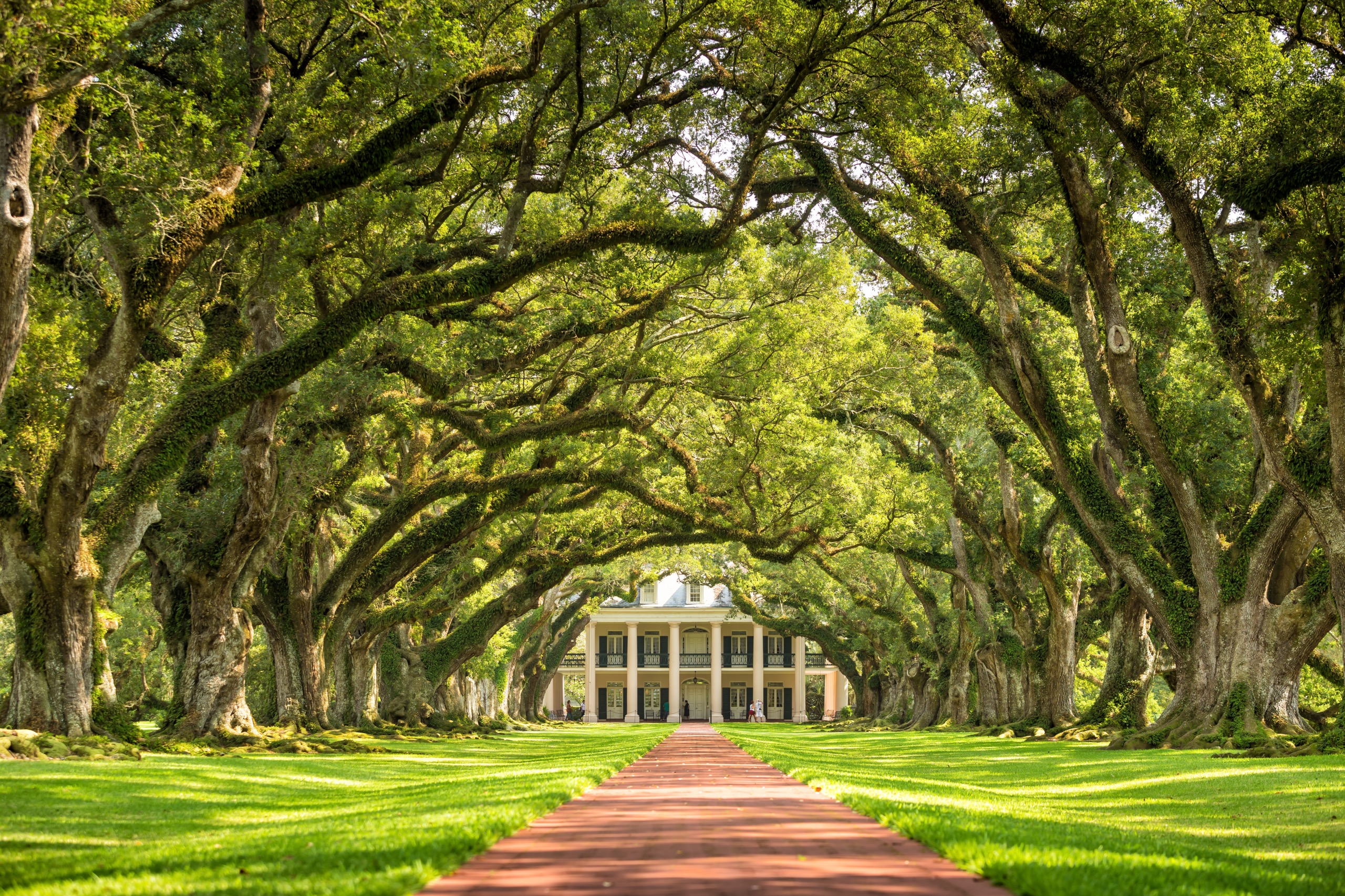 Découvrir la route des plantations en Louisiane : notre guide pratique