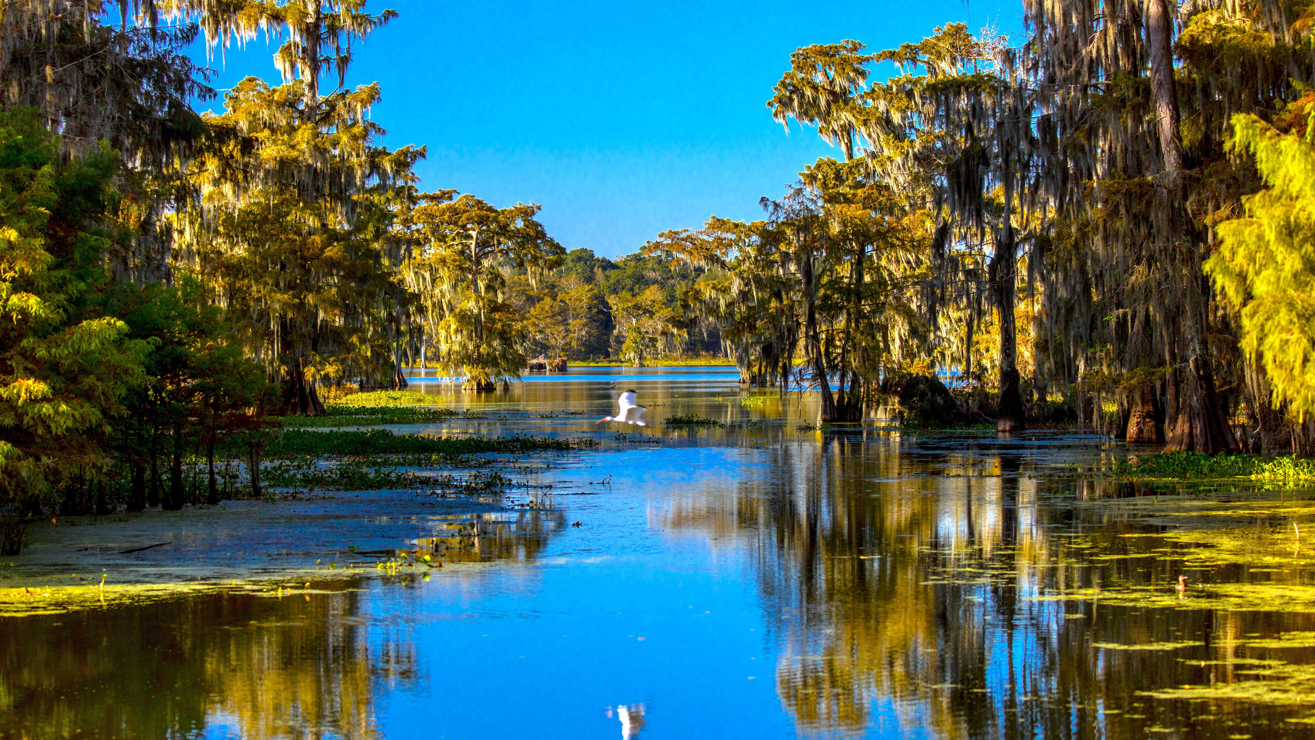 Louisiana