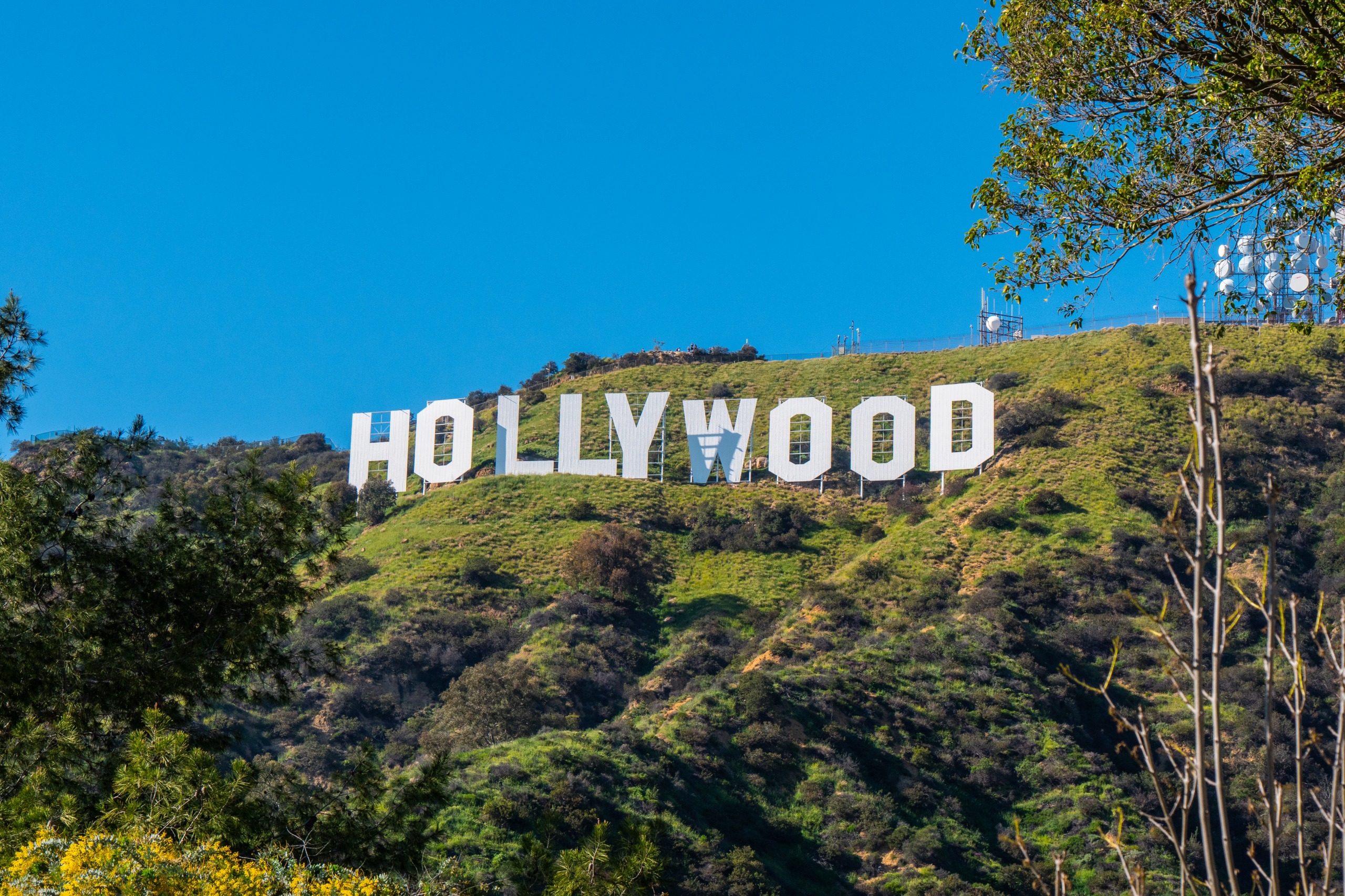Hollywood