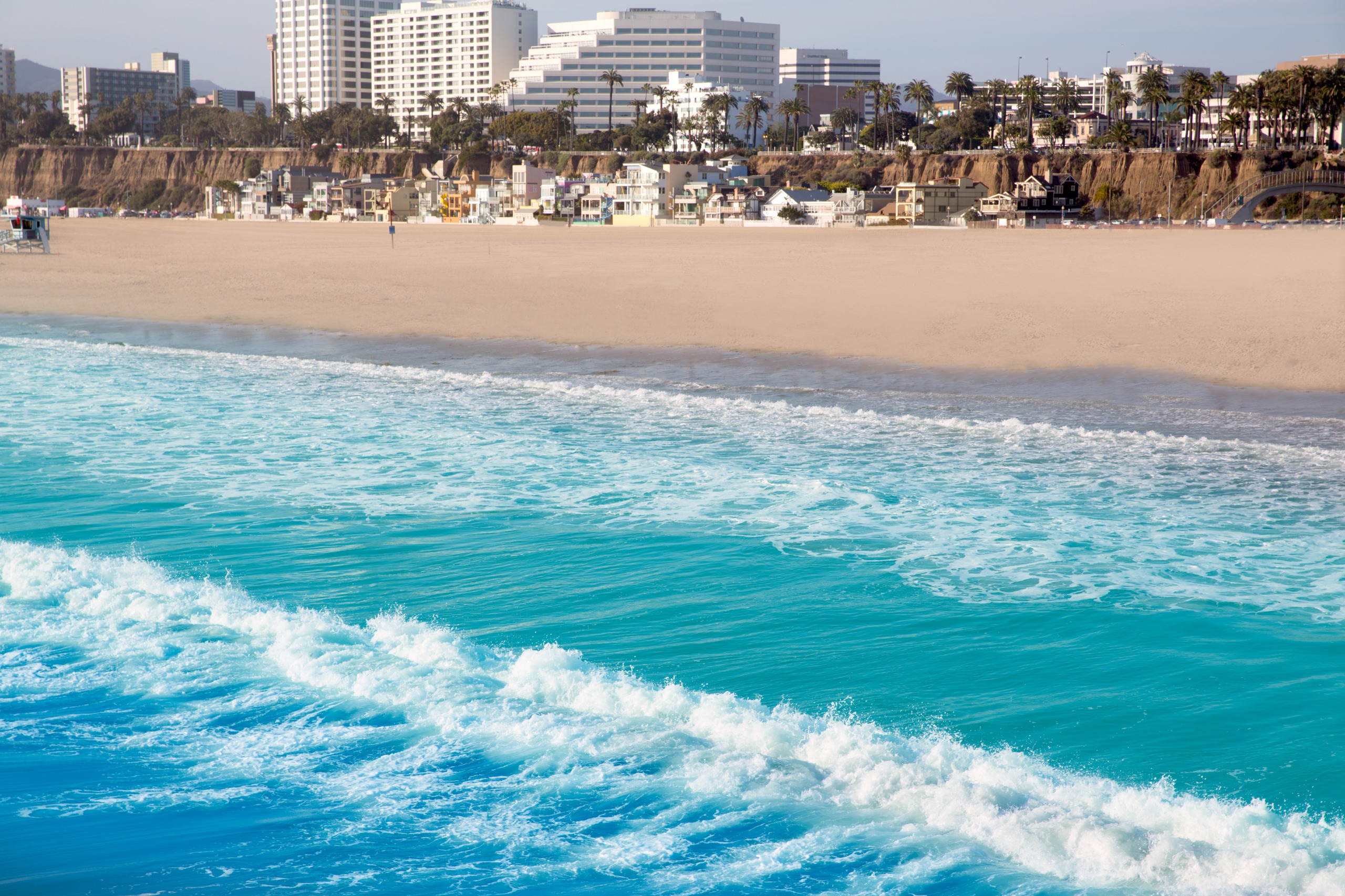 Santa Monica State Beach