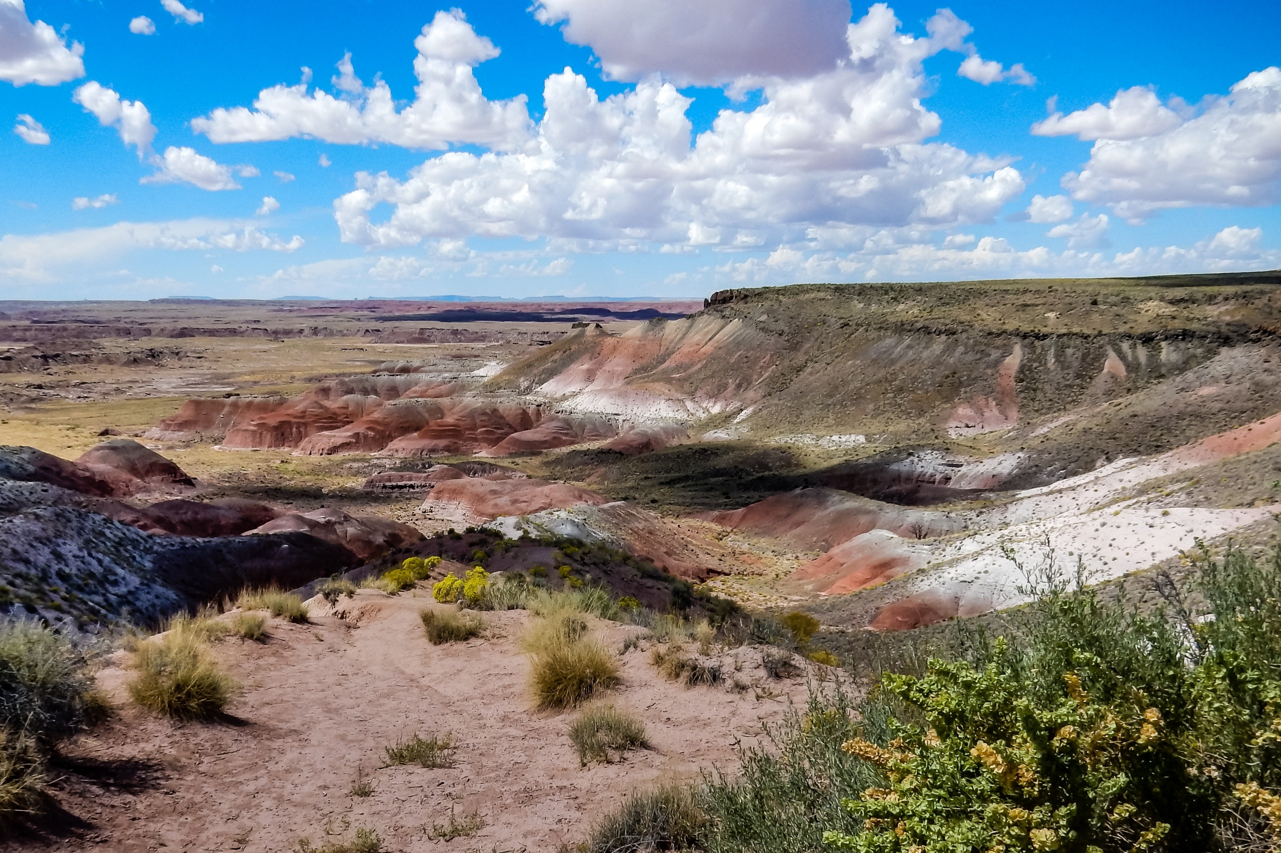Parc National Petrified Forest