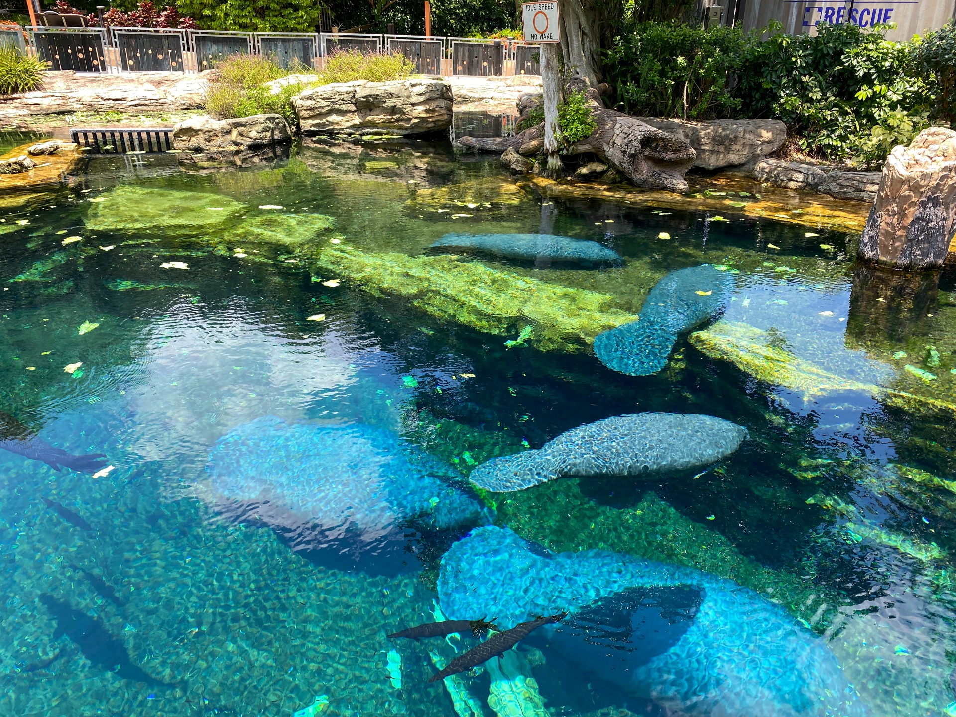 Le Parc de Manatee