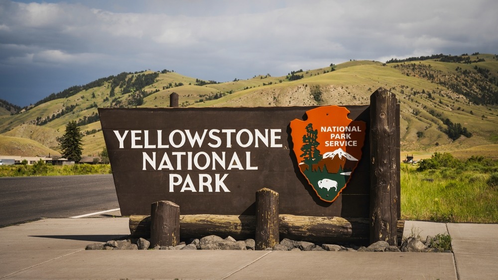 Yellowstone national park : comment visiter ce parc emblématique des États