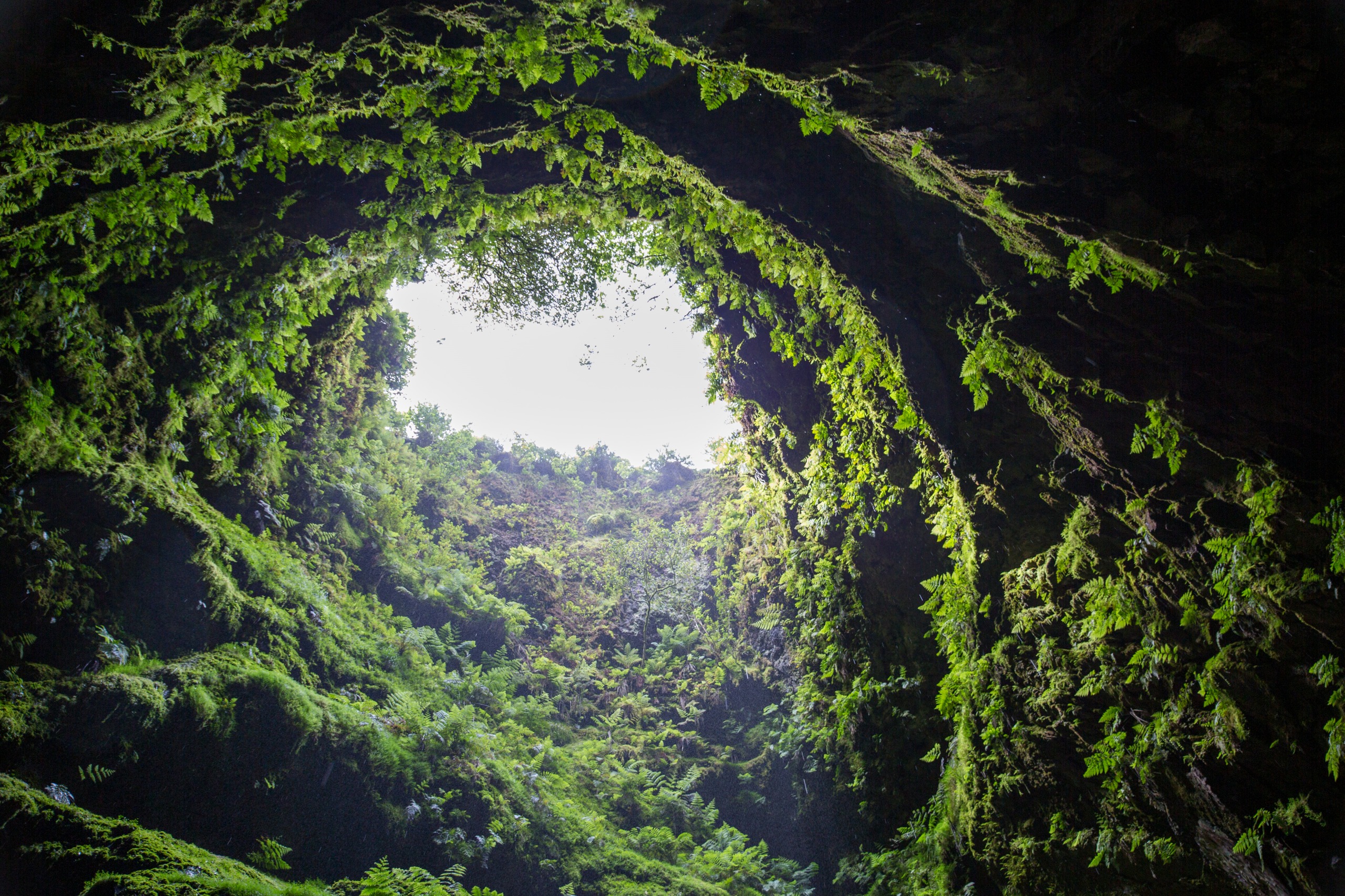 Fern Grotto