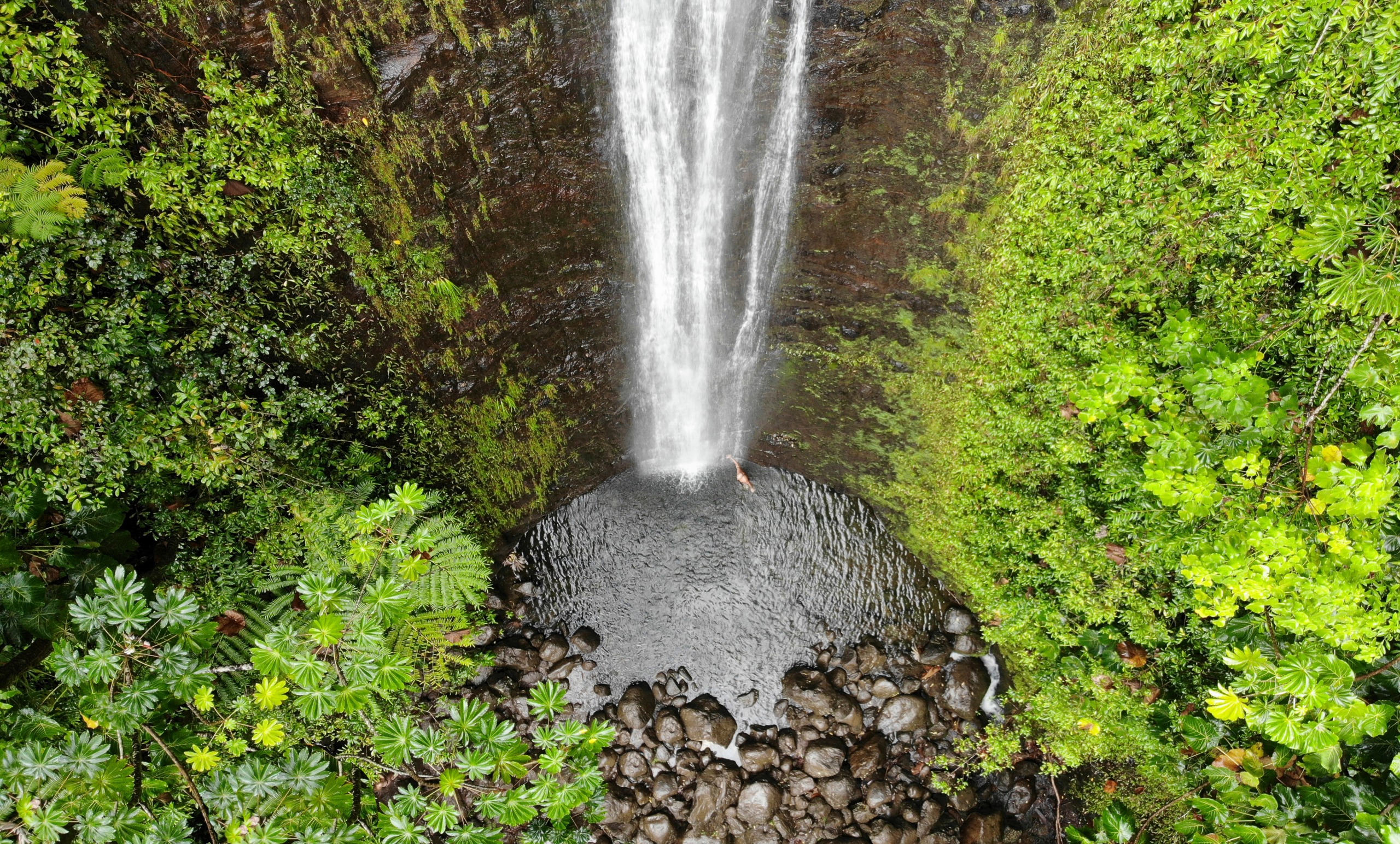 La majestueuse cascade de Manoa : joyau naturel d'Oahu à Hawaii