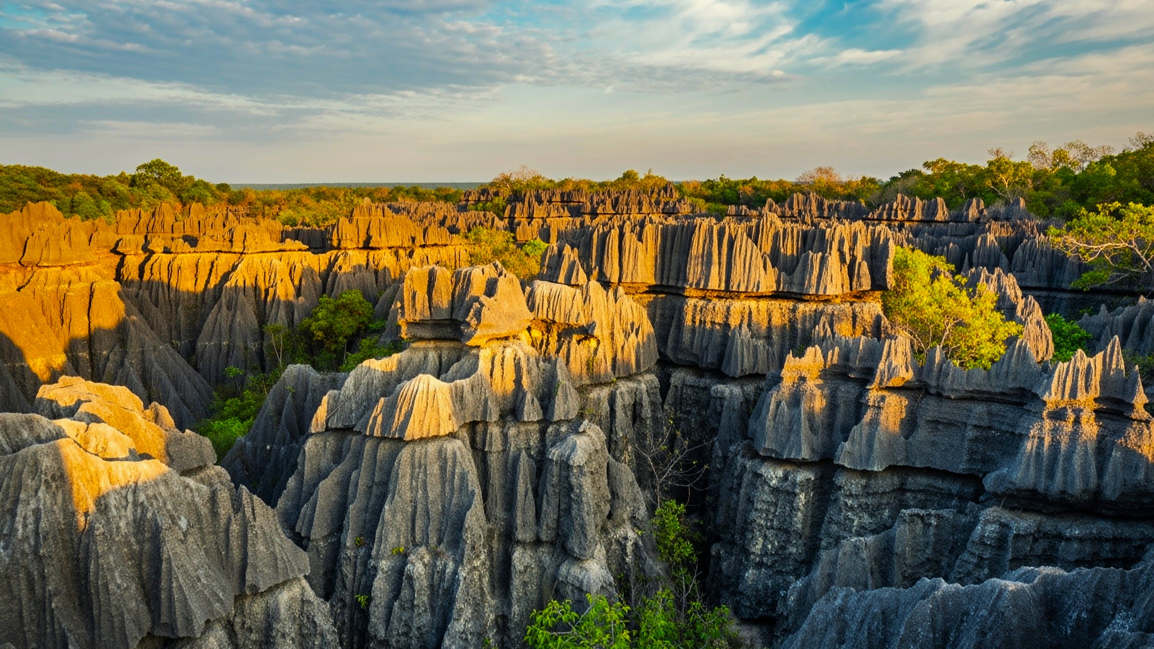 Paysage de la région Ouest et Tsingy en Madagascar