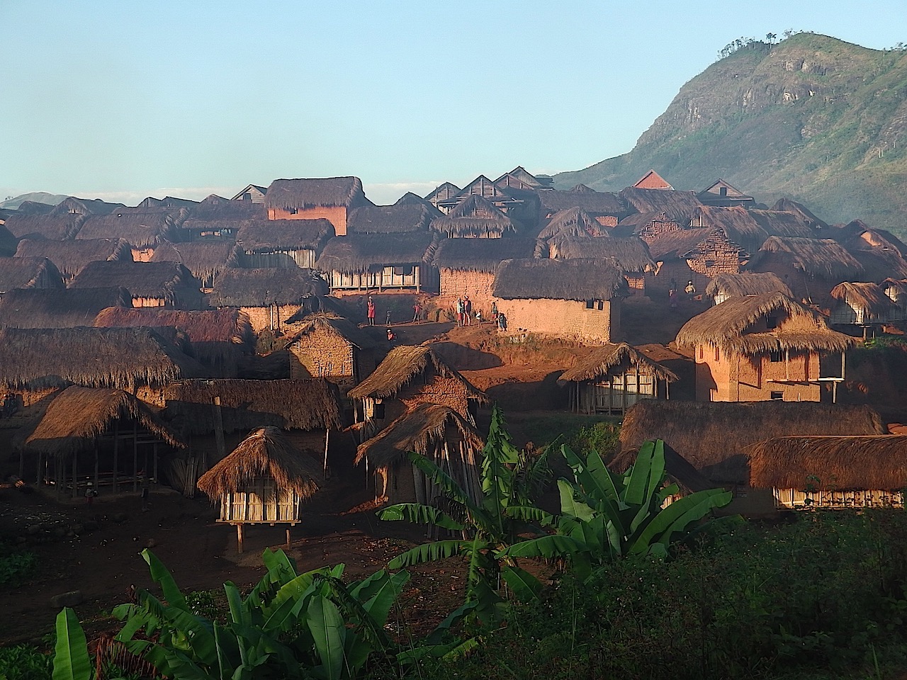 Les Zafimaniry