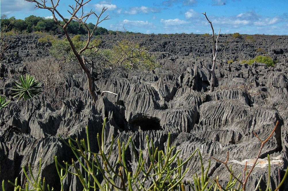 Parc National de l Ankarana
