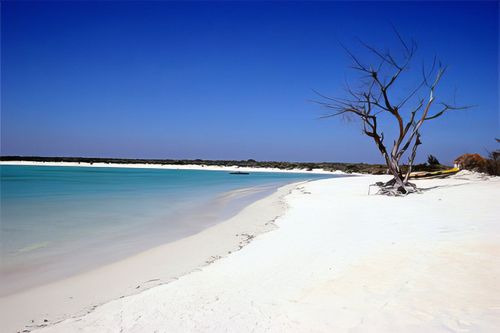 Beheloka