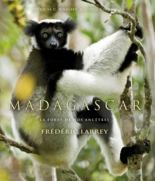 Madagascar, la forêt de nos ancêtres