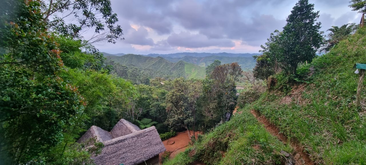 Séminaire Détours Madagascar — Mars 2026
