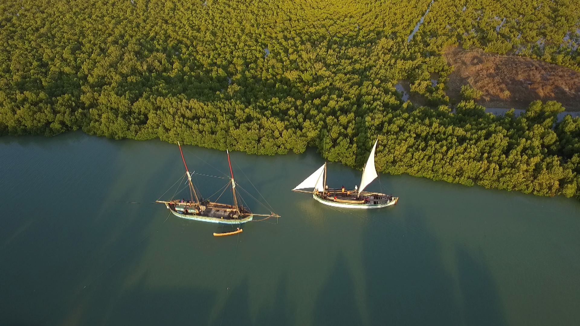 Cruzeiro migratório de Morondava a Majunga