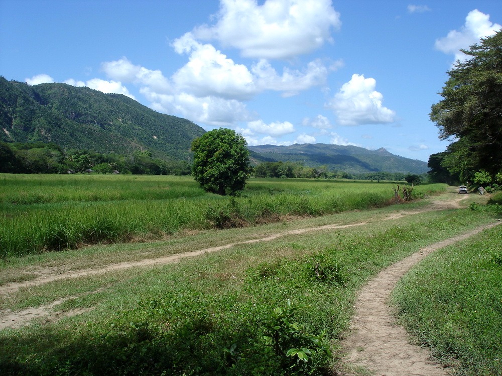 Découverte du Nord-Ouest et immersion à Sambirano