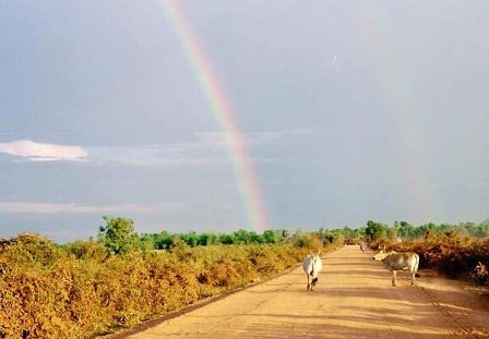 Activités incontournables à faire à Battambang