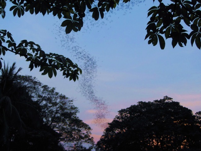 La montagne de Phnom Sampov