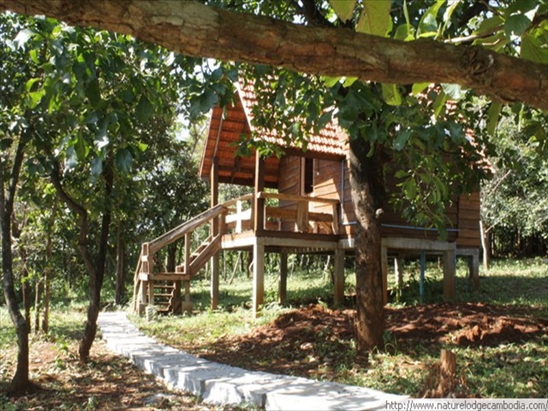 Nature Lodge