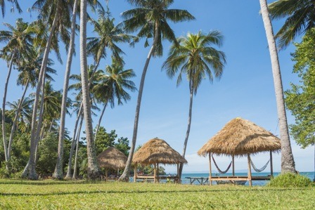 L'île du lapin de Koh Tonsay