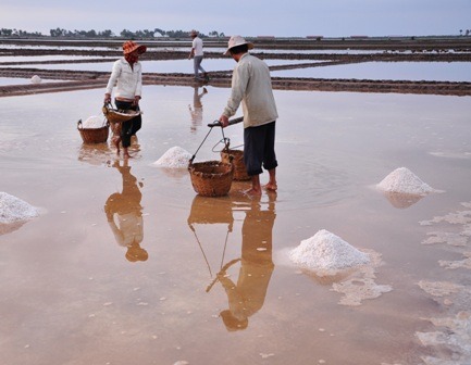 Les marais salants de Kampot